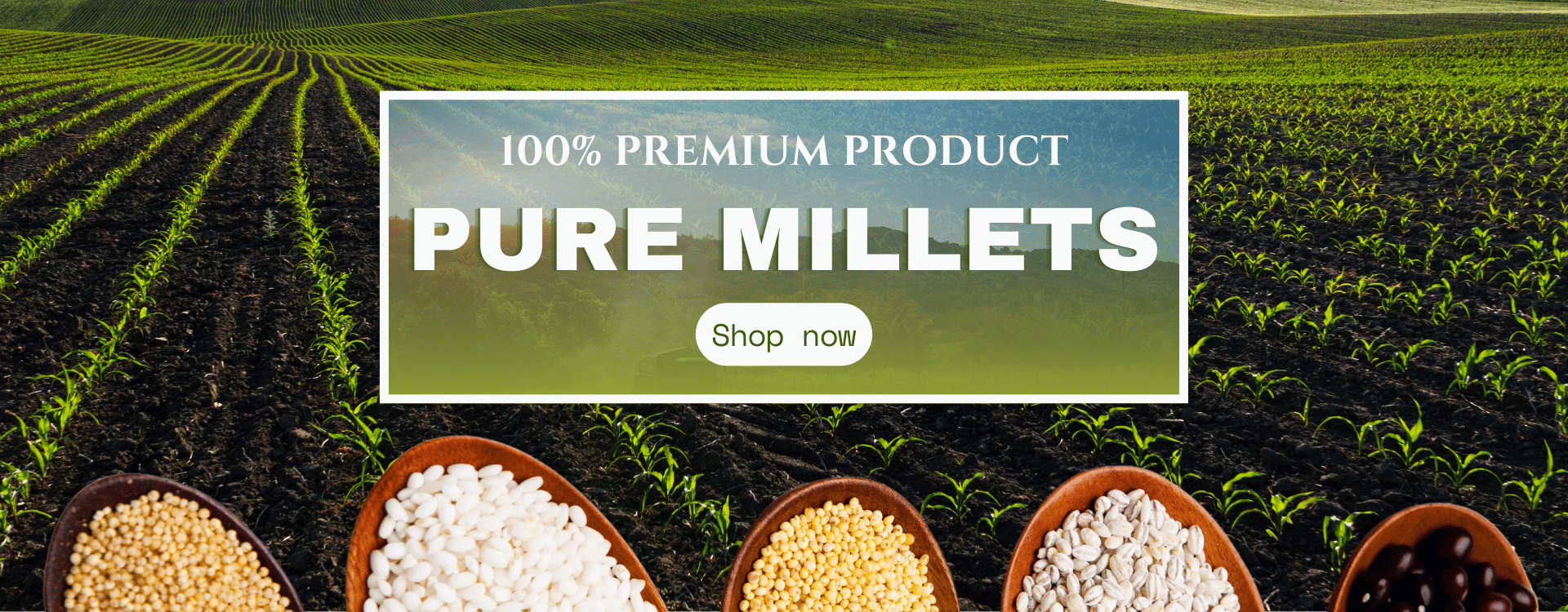 Premium millet banner featuring a lush green field with young millet plants and wooden bowls filled with different types of organic millets, highlighting '100% Premium Product – Pure Millets' with a 'Shop Now' button.