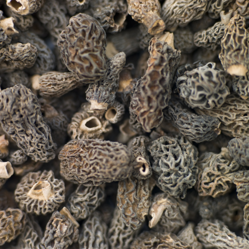 Wild-Harvested Dried Morel Mushrooms – Premium Quality