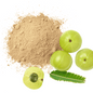 Pure Amla Powder – 100% natural and organic Indian gooseberry powder, rich in Vitamin C and antioxidants for immunity, hair, and skin health.