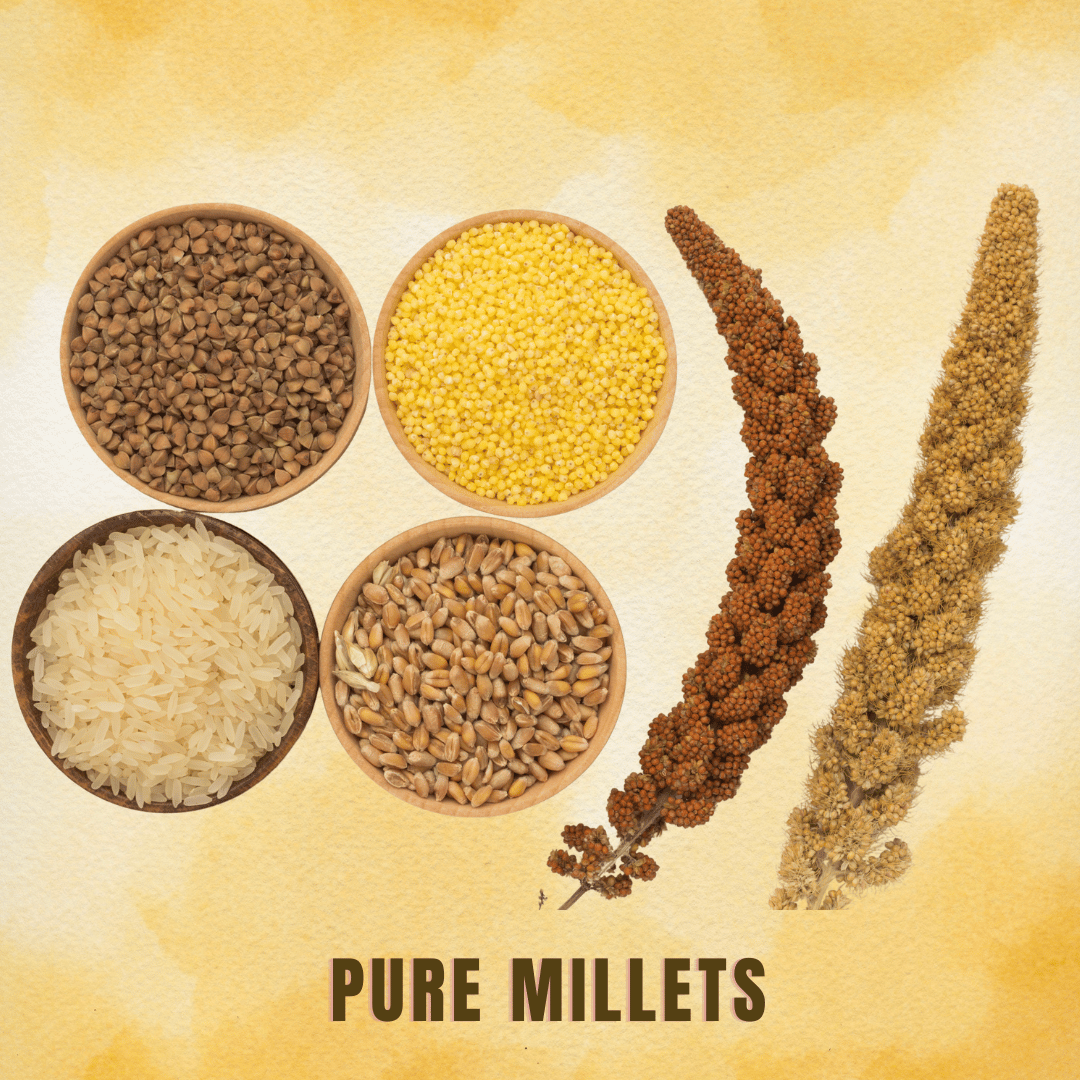 Assorted whole grains and millets, including quinoa, oats, and sorghum, displayed in bowls – rich in fiber and nutrients